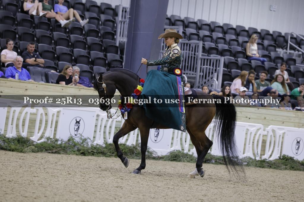 Proof Number 25R13_03636