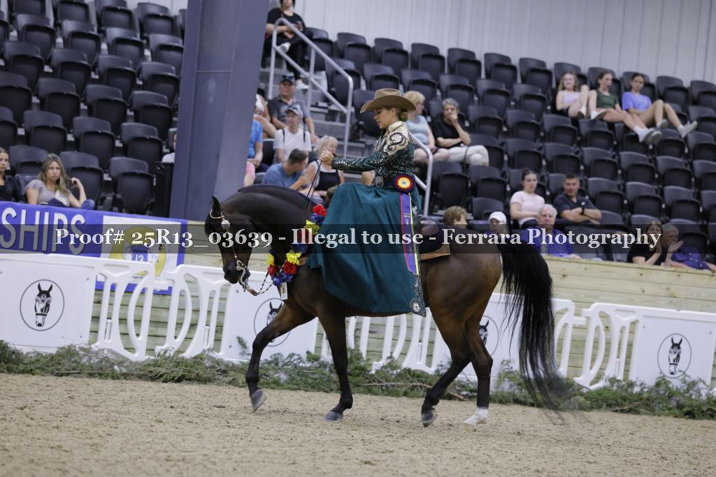 Proof Number 25R13_03639