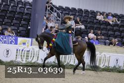 25R13_03639 thumbnail