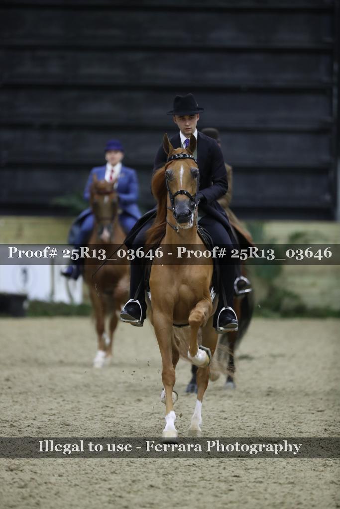 Proof Number 25R13_03646