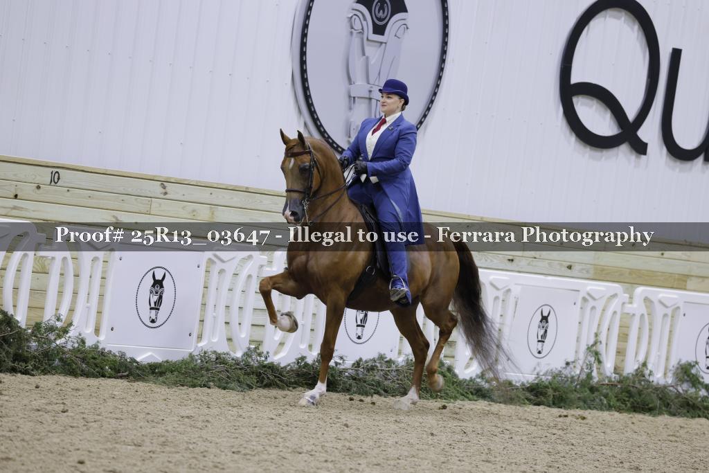 Proof Number 25R13_03647