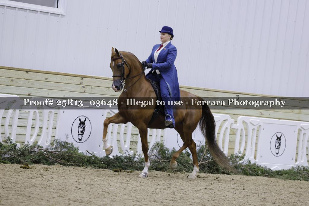 Proof Number 25R13_03648