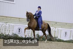 25R13_03648 thumbnail