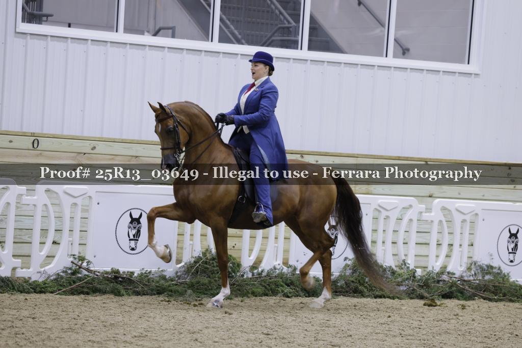 Proof Number 25R13_03649