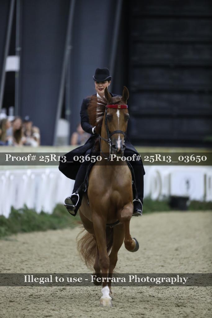 Proof Number 25R13_03650