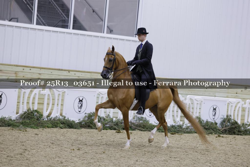 Proof Number 25R13_03651