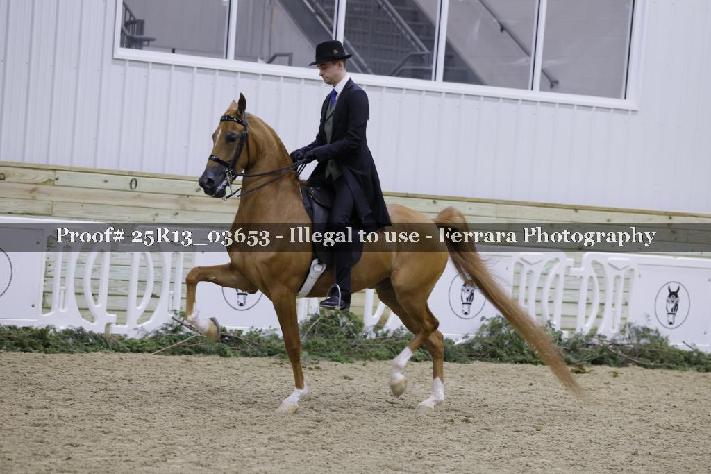 Proof Number 25R13_03653