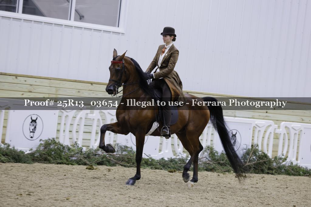 Proof Number 25R13_03654