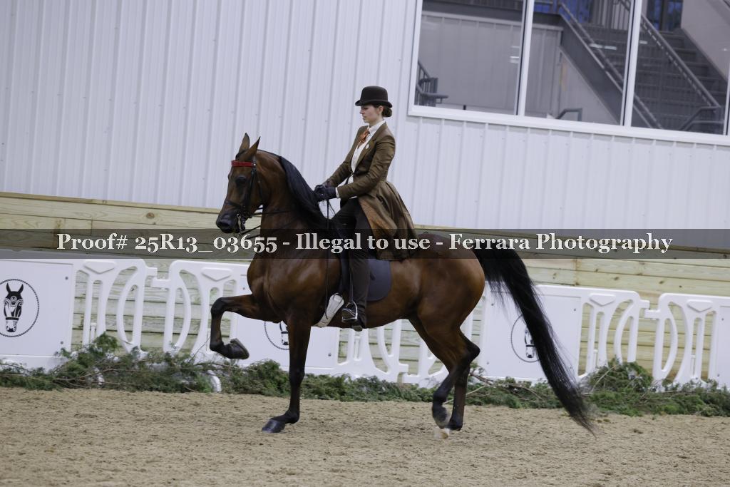 Proof Number 25R13_03655