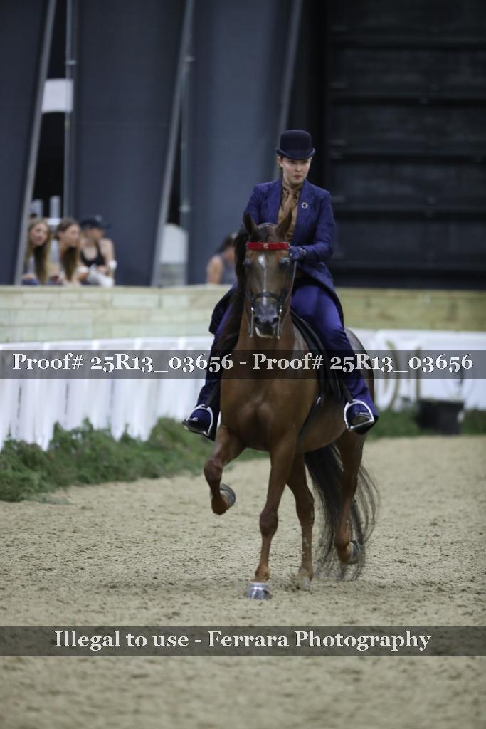 Proof Number 25R13_03656