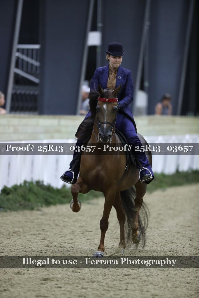 Proof Number 25R13_03657