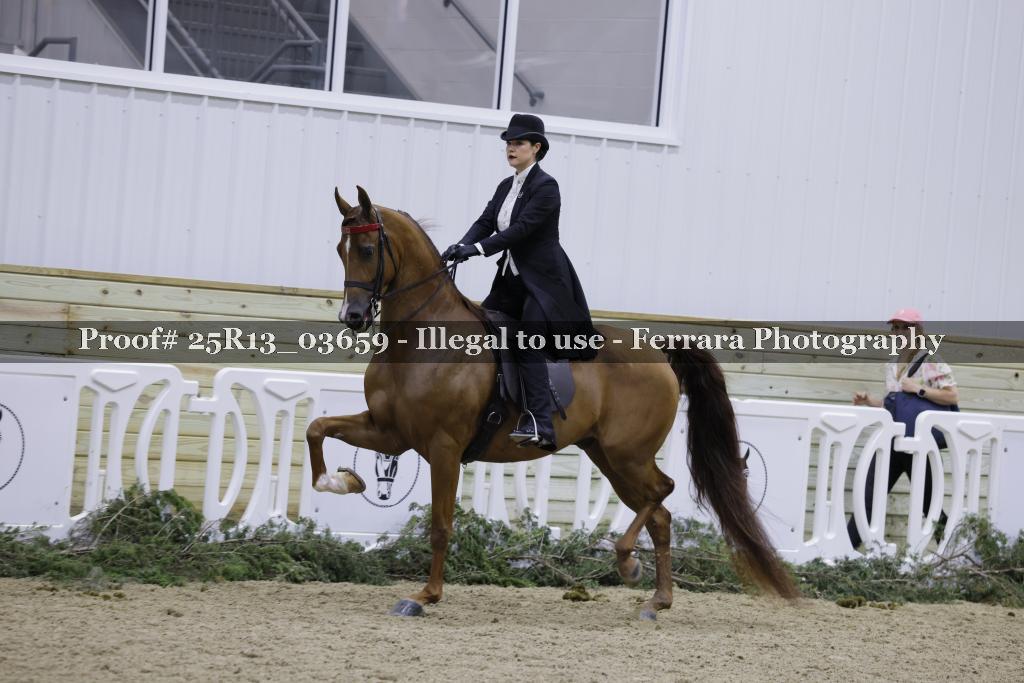 Proof Number 25R13_03659