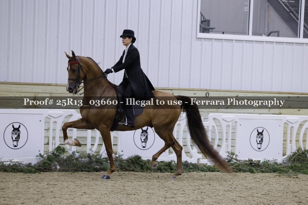 Proof Number 25R13_03660