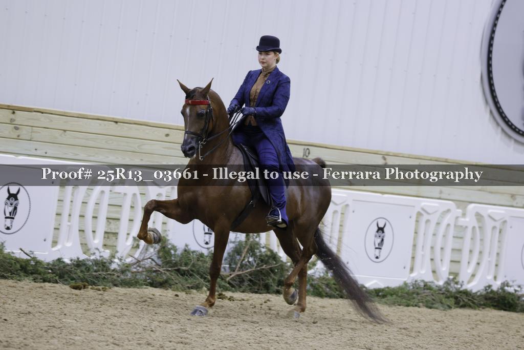 Proof Number 25R13_03661