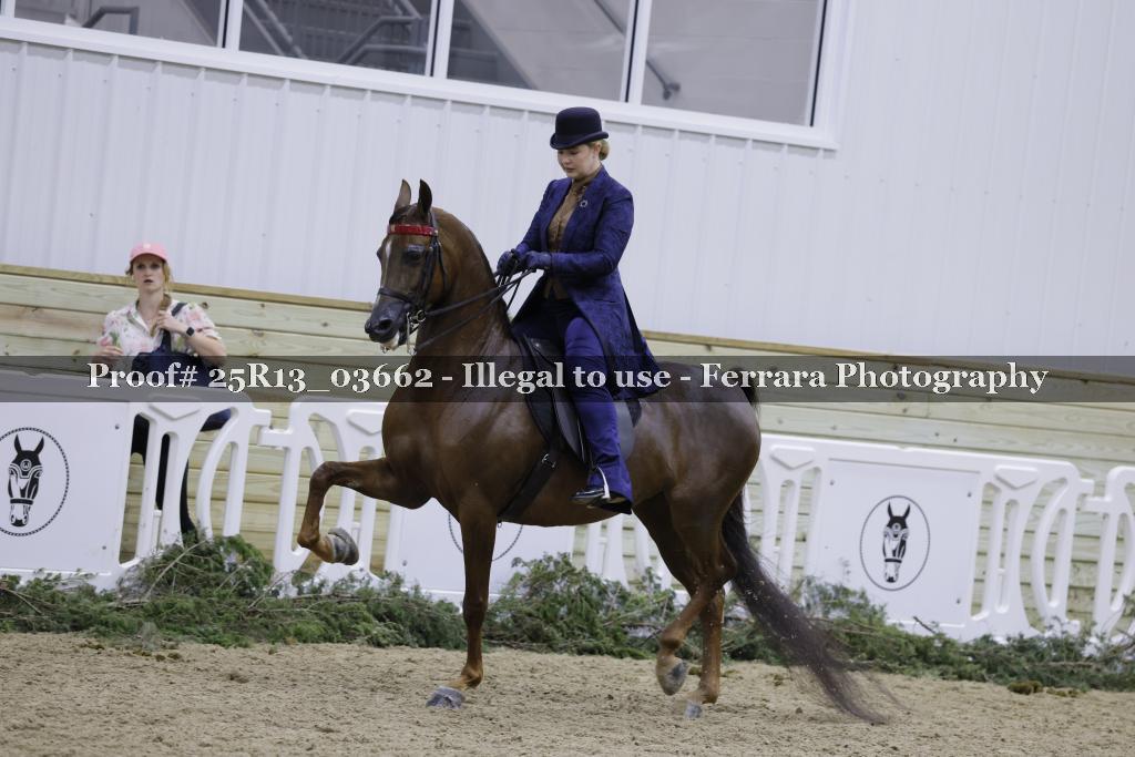 Proof Number 25R13_03662