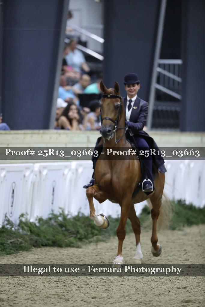 Proof Number 25R13_03663