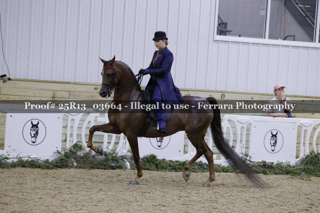 Proof Number 25R13_03664