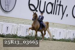 25R13_03665 thumbnail