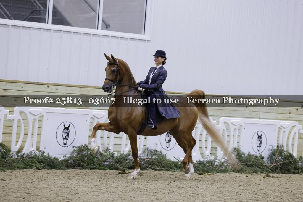 Proof Number 25R13_03667