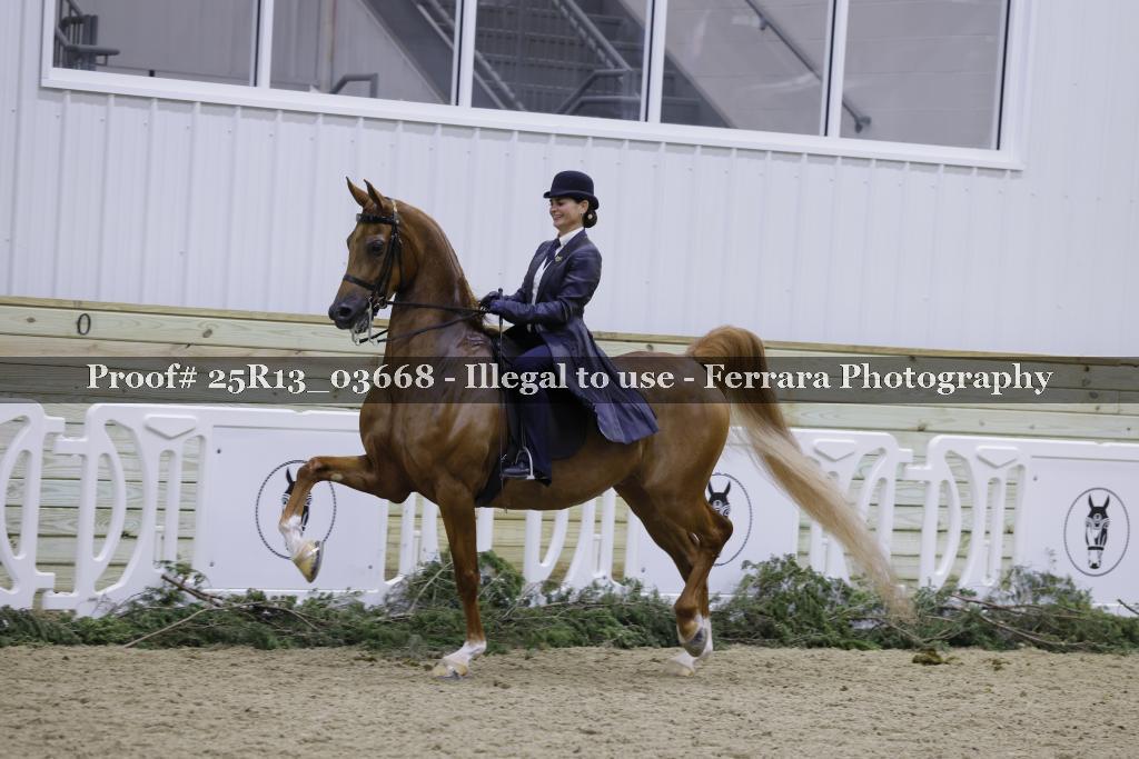 Proof Number 25R13_03668