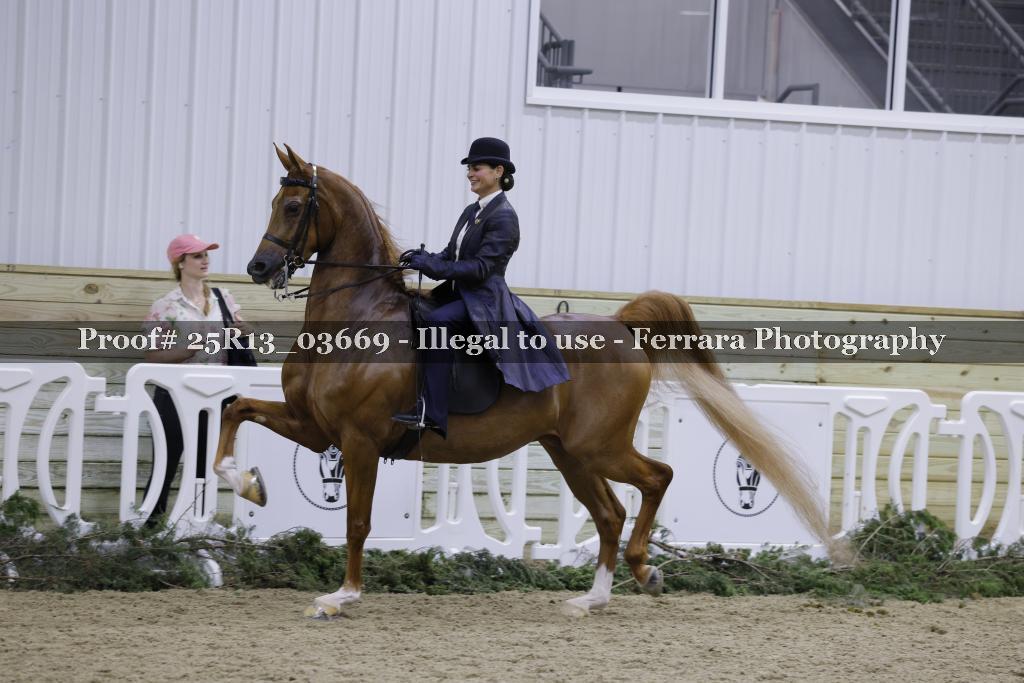 Proof Number 25R13_03669