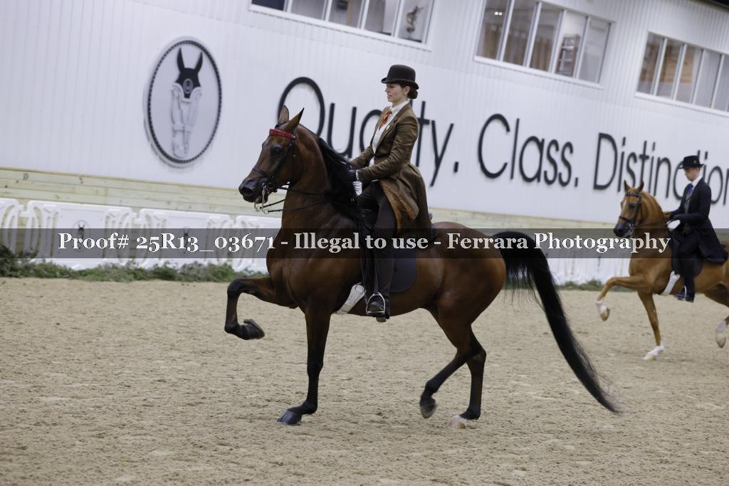 Proof Number 25R13_03671