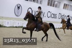 25R13_03671 thumbnail
