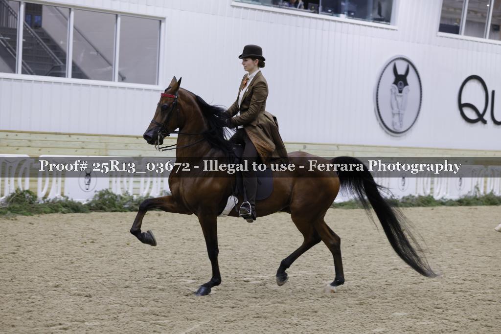 Proof Number 25R13_03672