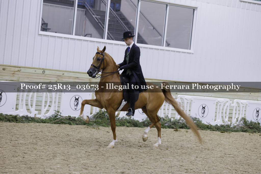 Proof Number 25R13_03673