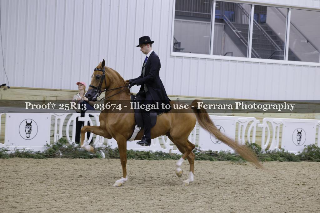 Proof Number 25R13_03674
