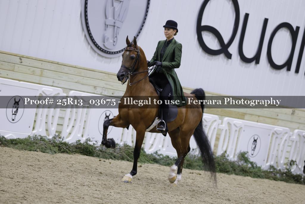 Proof Number 25R13_03675
