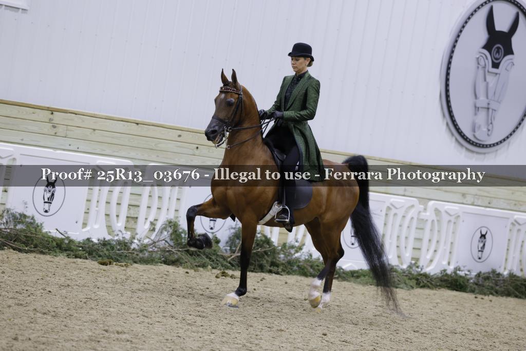Proof Number 25R13_03676