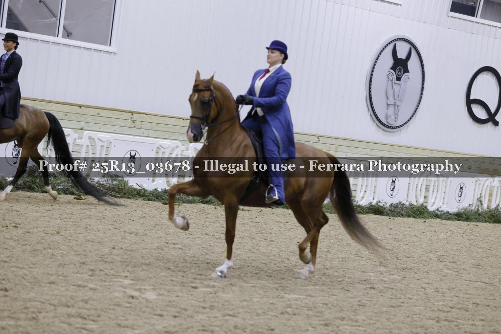 Proof Number 25R13_03678