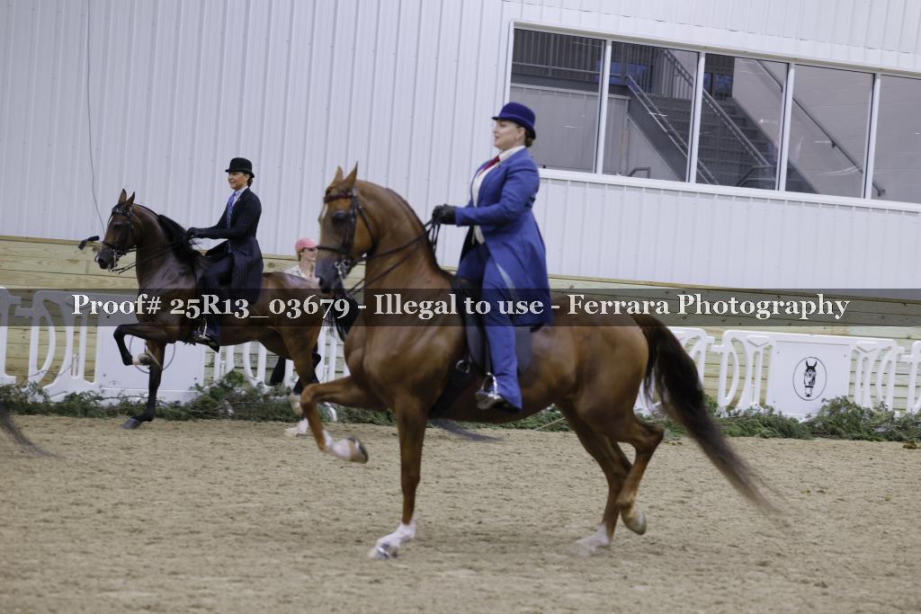 Proof Number 25R13_03679