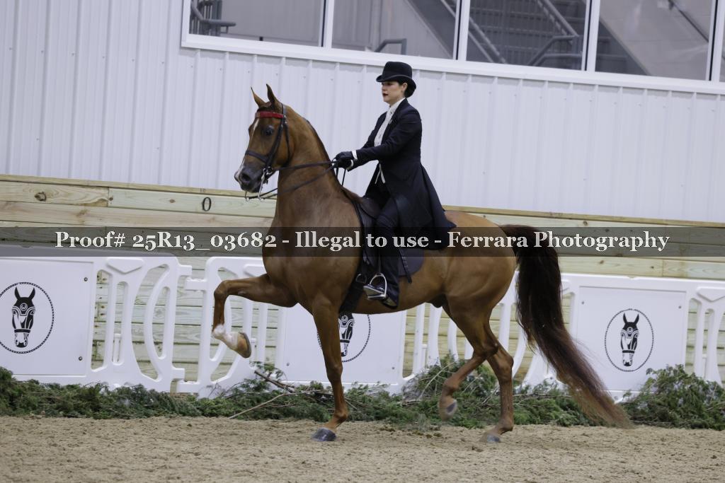 Proof Number 25R13_03682
