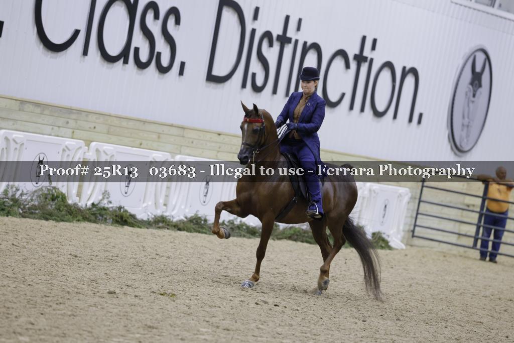 Proof Number 25R13_03683