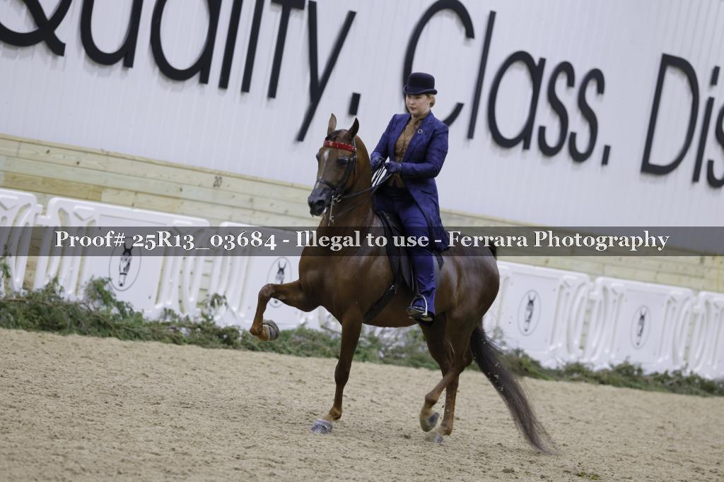 Proof Number 25R13_03684