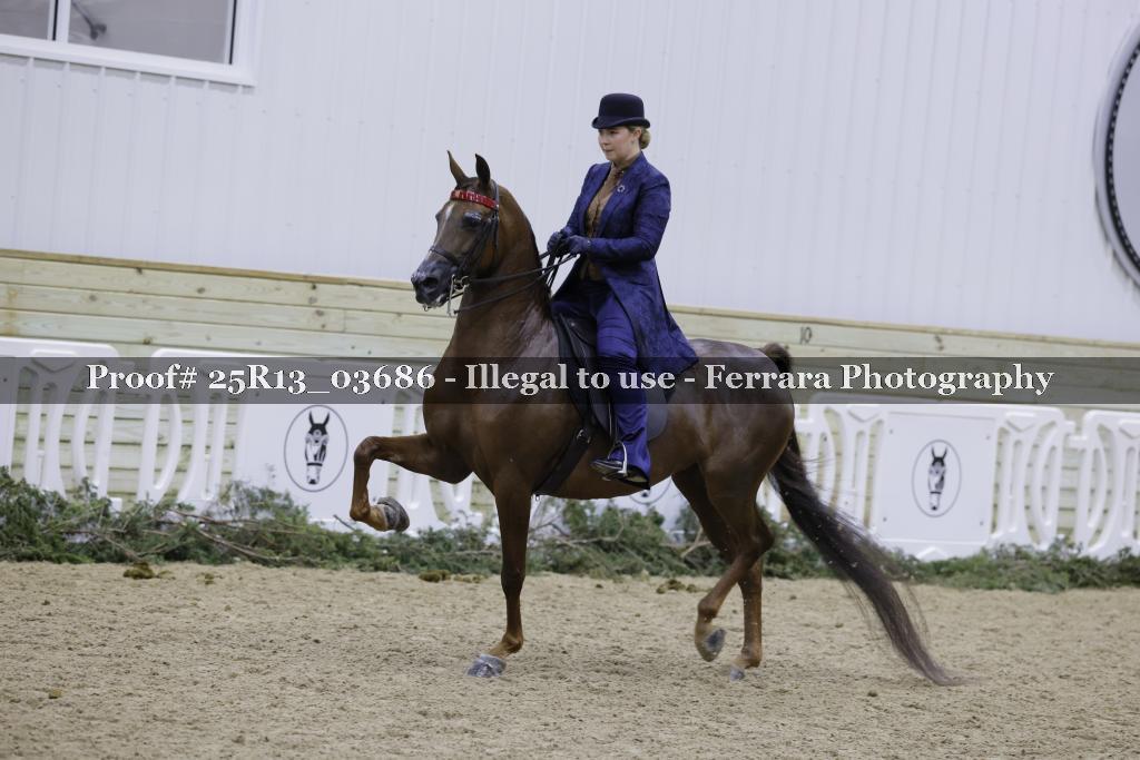 Proof Number 25R13_03686