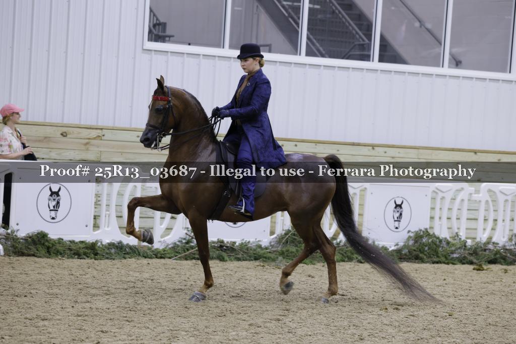 Proof Number 25R13_03687