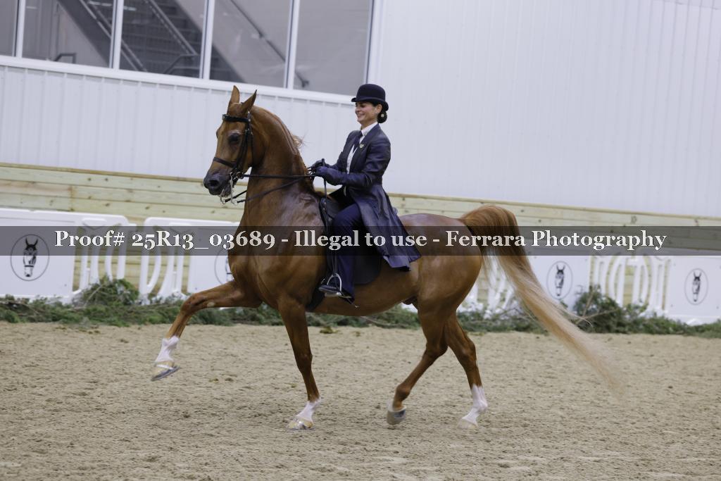 Proof Number 25R13_03689