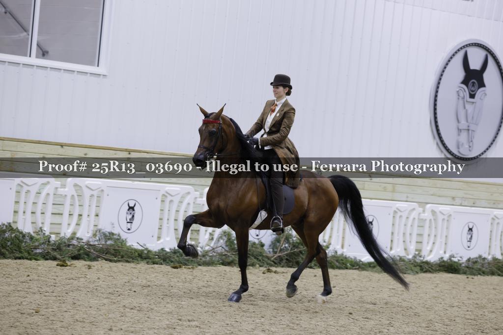 Proof Number 25R13_03690