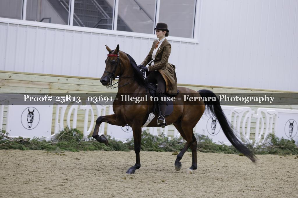 Proof Number 25R13_03691