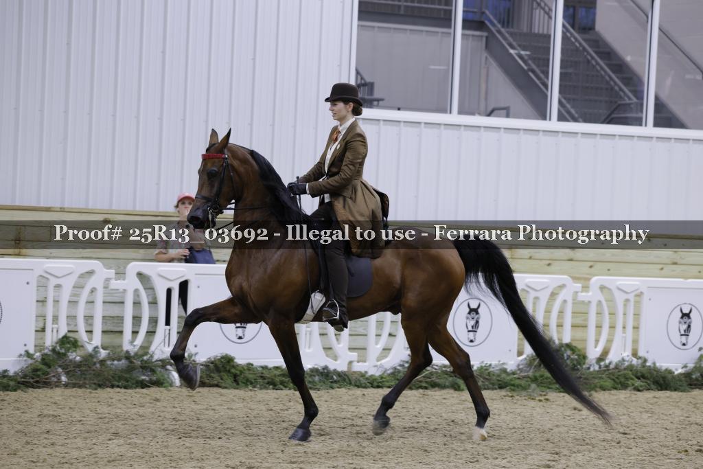 Proof Number 25R13_03692