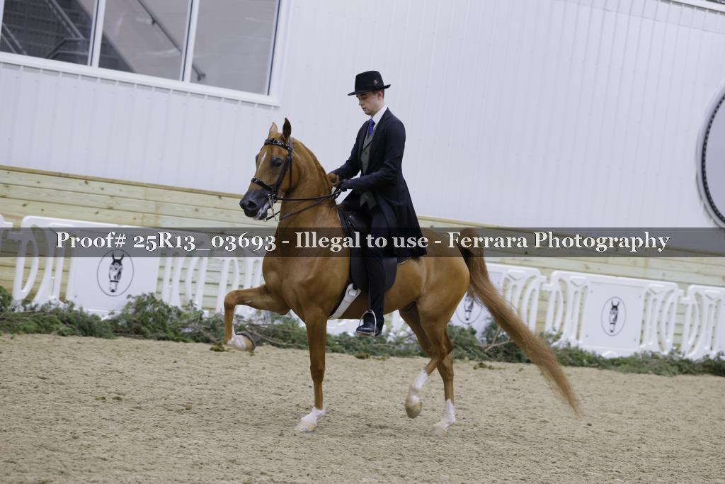Proof Number 25R13_03693