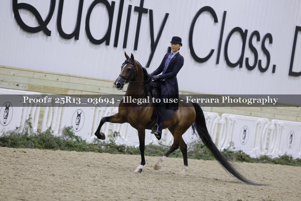 Proof Number 25R13_03694