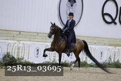 25R13_03695 thumbnail