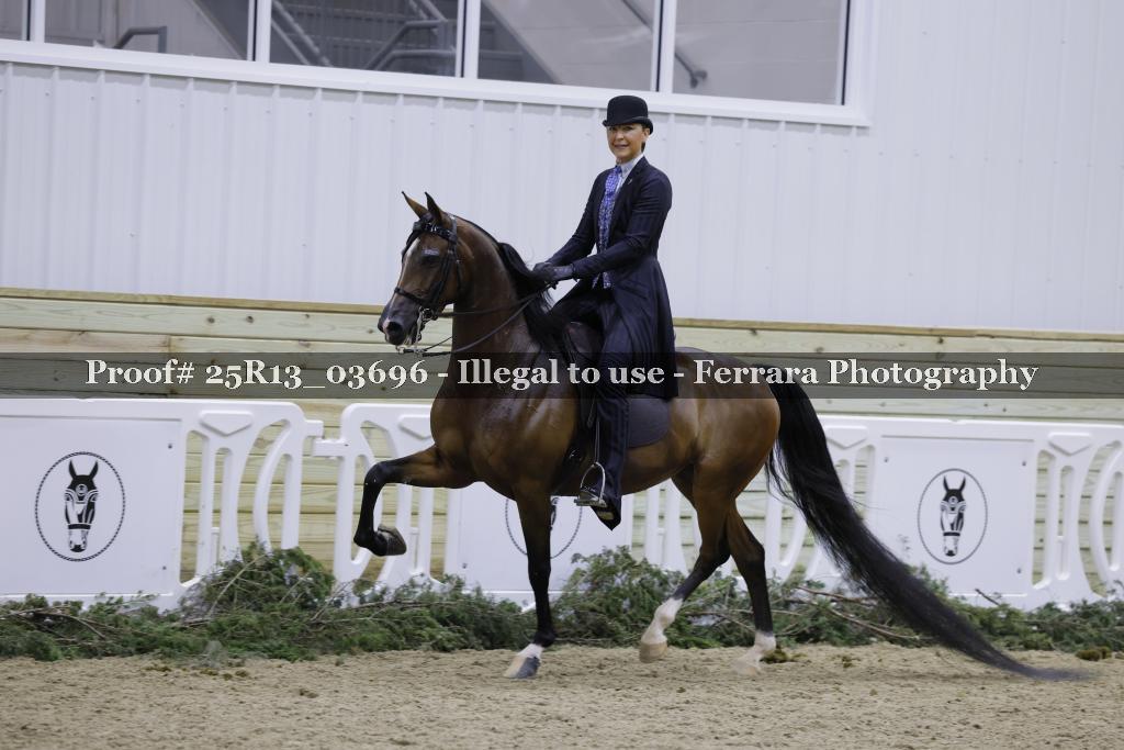 Proof Number 25R13_03696
