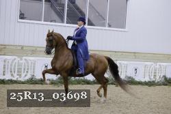 25R13_03698 thumbnail