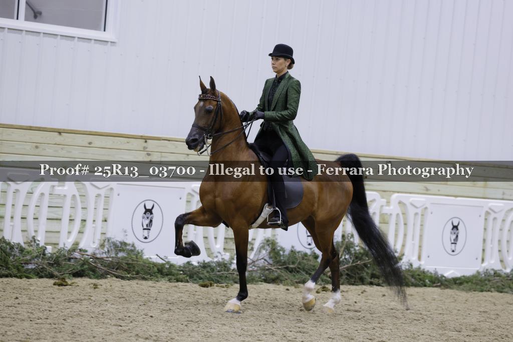 Proof Number 25R13_03700