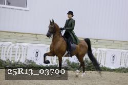 25R13_03700 thumbnail
